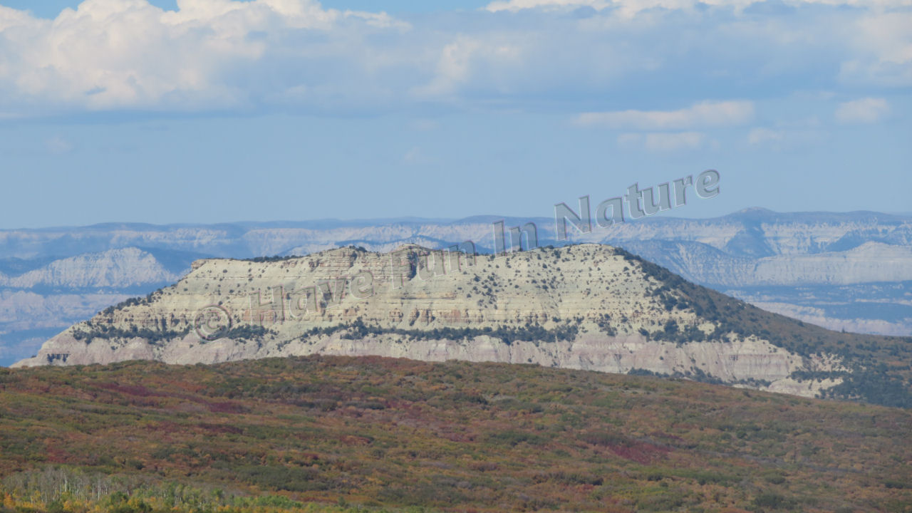 Grand Mesa National Forest in Colorado