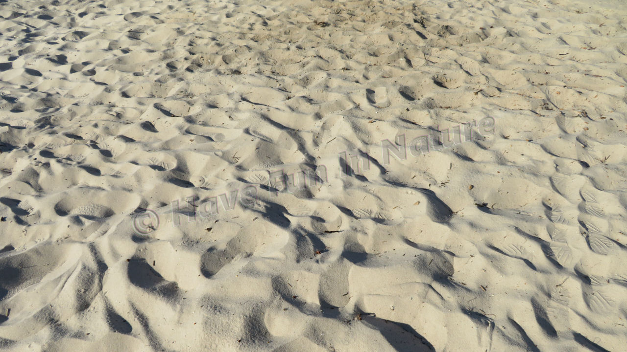 Walking on Sand at Lake Pontchartrain