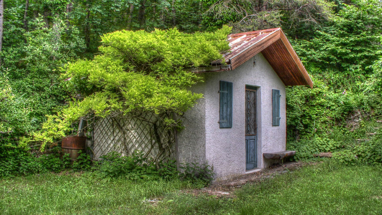 A Small House in Nature