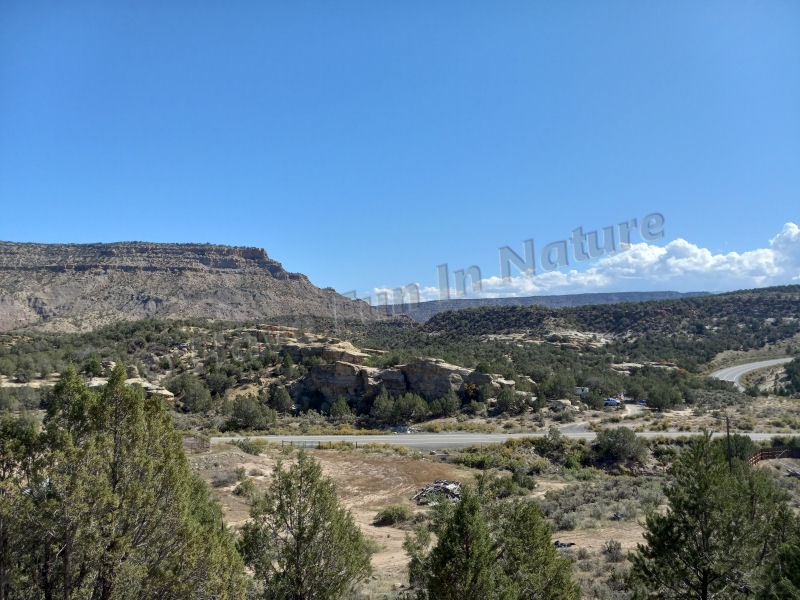 Headed to Grand Mesa National Forest