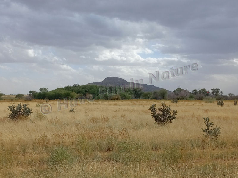 Tucumcari Mountain