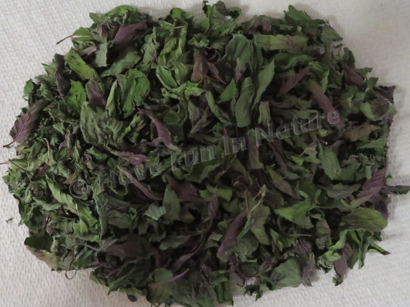 Dried Peppermint