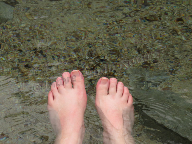 Feet in the Water