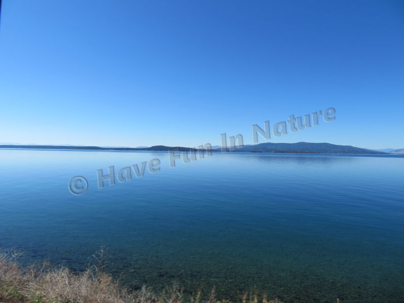 Flathead Lake in NW Montana