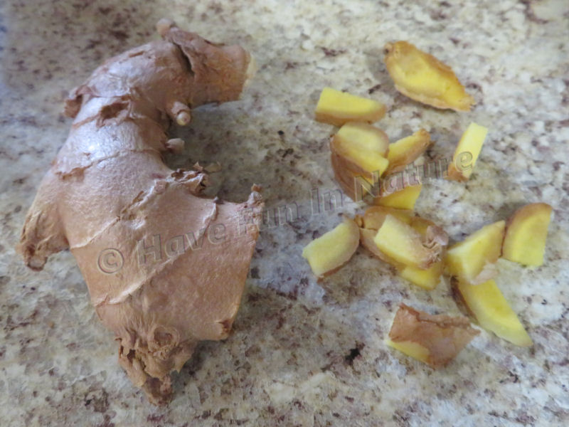 Ginger Root Chopped