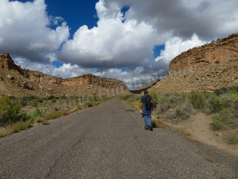 Hiking in Sego Canyon