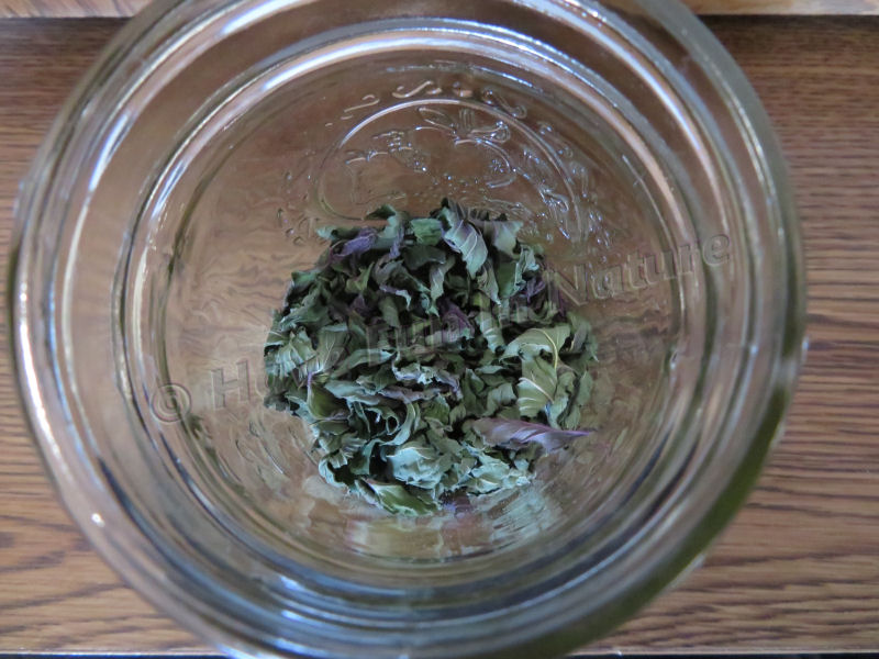 Peppermint in a Jar