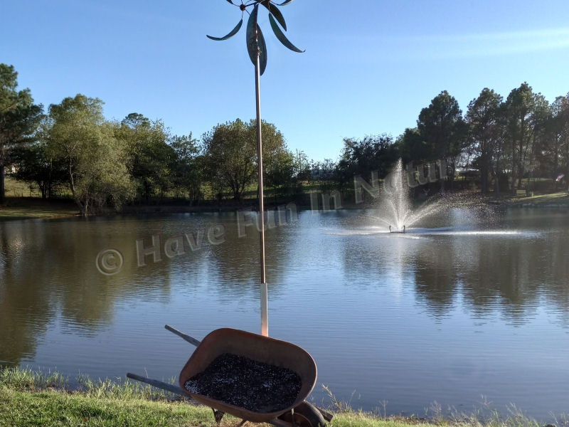 The Pond at Pine Tree