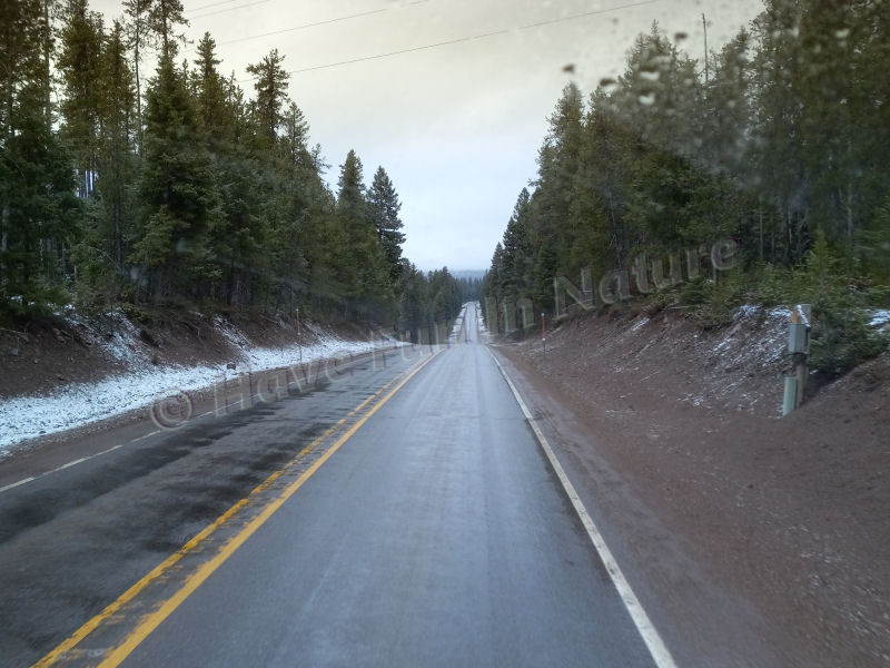 Wet Roads in Montana