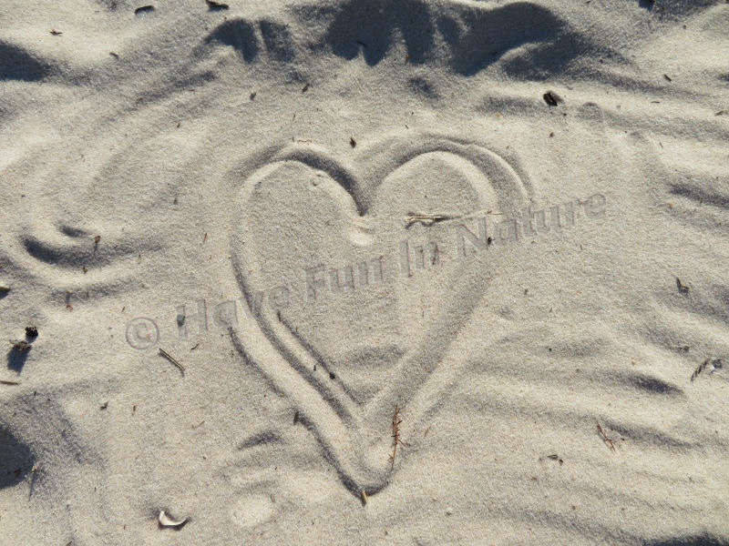 A Heart in the Sand