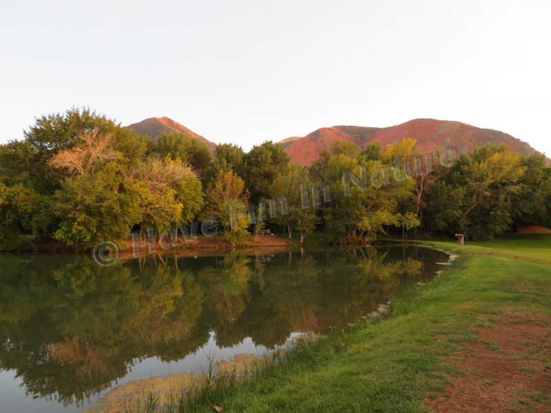 The city park behind Canyon View RV Park