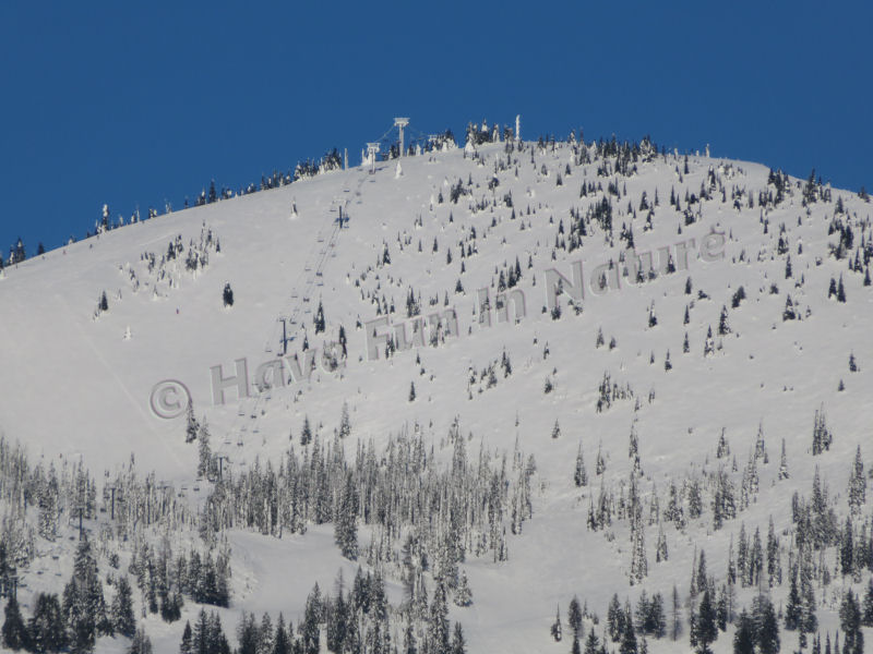 Ski Resort in Montana