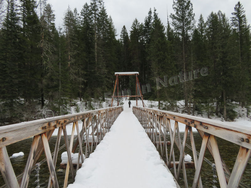 Warm Springs Pack Bridge