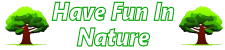 Have Fun in Nature